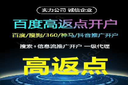 某电商平台sem竞价运营的突破与挑战
